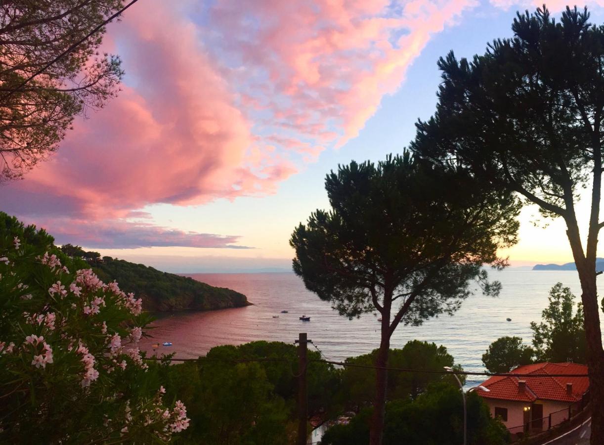 Le Terrazze Di Pareti Apartamento Capoliveri  Exterior foto